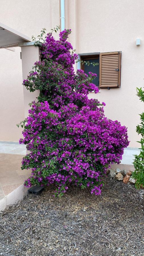 Villa Lp Kokkino Chorio ภายนอก รูปภาพ
