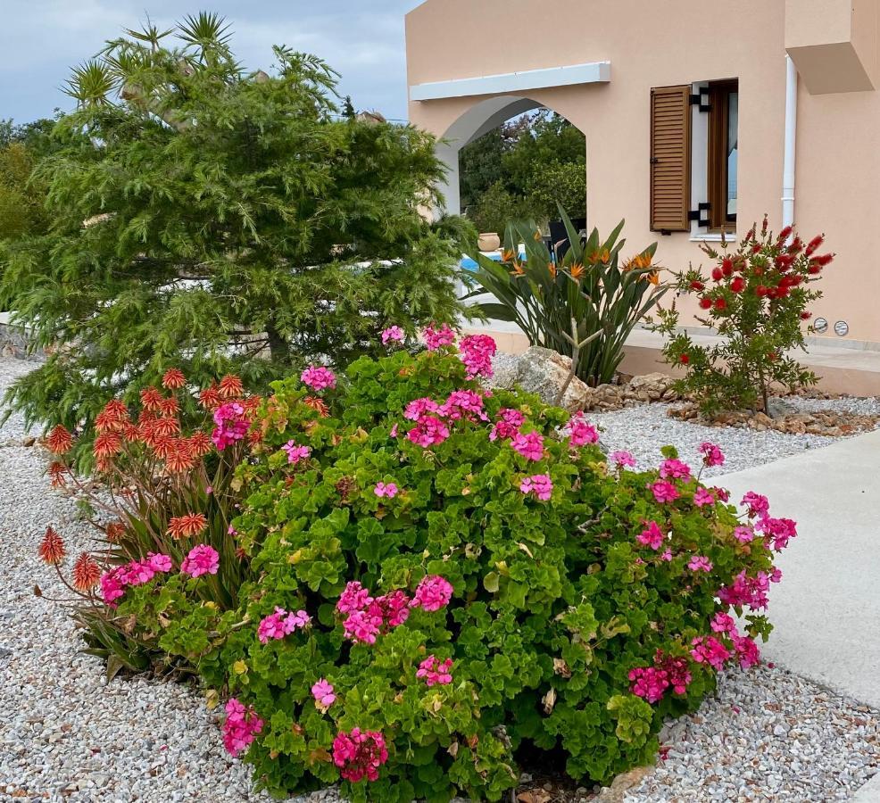 Villa Lp Kokkino Chorio ภายนอก รูปภาพ