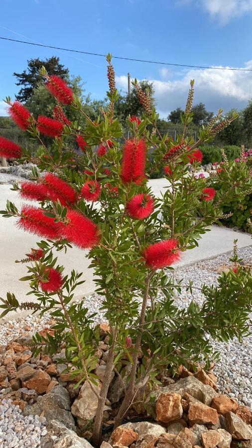 Villa Lp Kokkino Chorio ภายนอก รูปภาพ